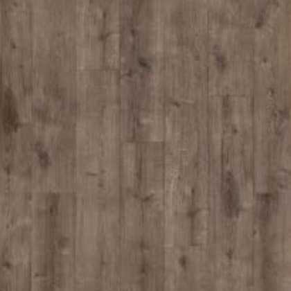 Oyster Oak 239 swatch