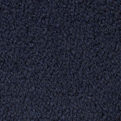 Ensign Navy G10-07 exposition carpet swatch