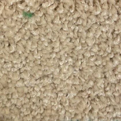 Vanilla Bean GB-12 exposition carpet swatch