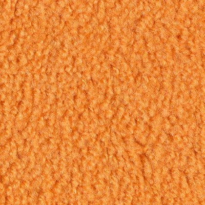 Pumpkin Spice PR-01 exposition carpet swatch