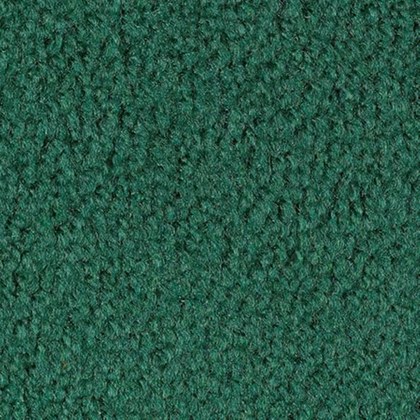 Fern PR-11 exposition carpet swatch
