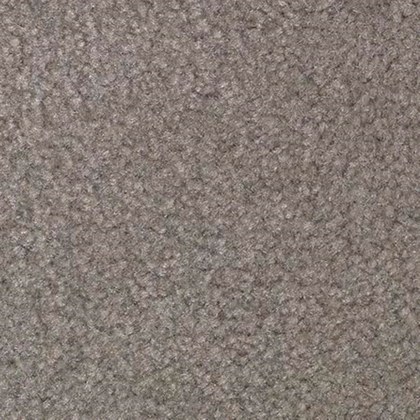 Dove Wing VIP-14 exposition carpet swatch