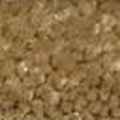 Honey Oak GS-03 textured carpet swatch