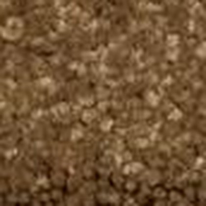 Cedar GS-10 textured carpet swatch