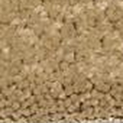 Biscotti GS-12 textured carpet swatch