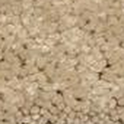 Sandstone GS-20 textured carpet swatch