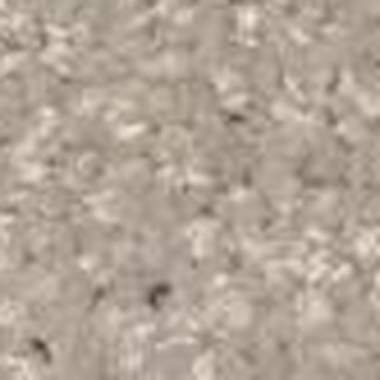 Silver Birch GS-33 textured carpet swatch