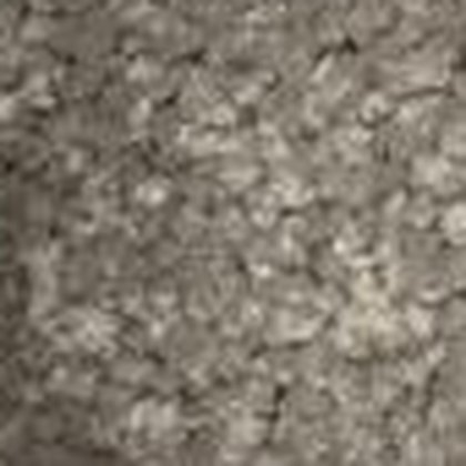 Ash GS-34 textured carpet swatch