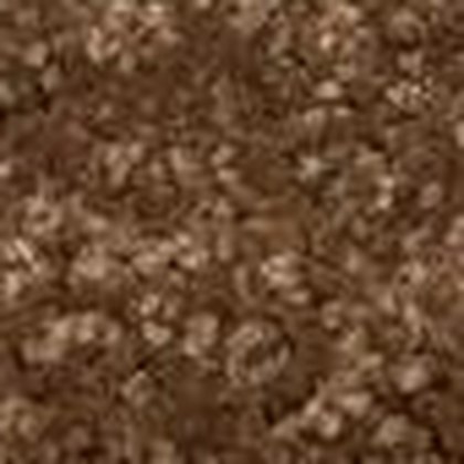 Hazelnut RB-06 textured carpet swatch