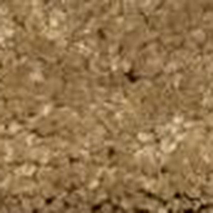 Canyon Tan RB-07 textured carpet swatch