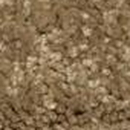 Desert Sand RB-11 textured carpet swatch