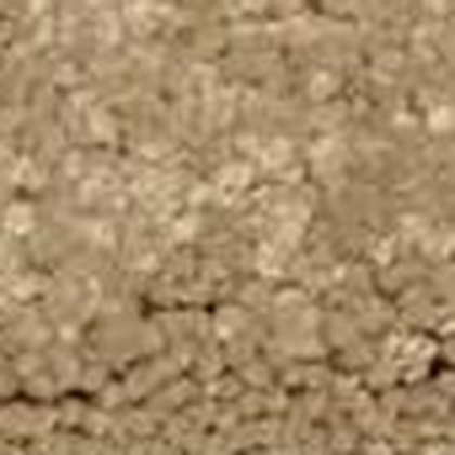 Soft Fawn RB-16 textured carpet swatch