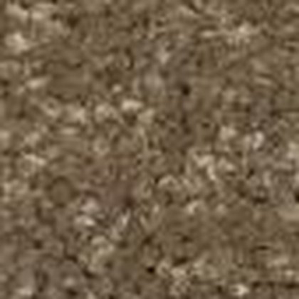 Olive Bark RB-22 textured carpet swatch