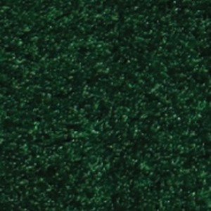 Forest Green swatch