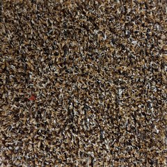 Fanfare artificial turf grass in Granola
