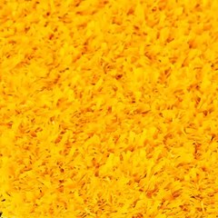 SBMULTI F artificial turf grass in Yellow